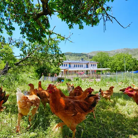 Agroturizem Dr Bizhga 5* Gusmar
