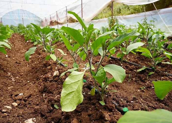 Hotel Agroturizem Dr Bizhga Gusmar
