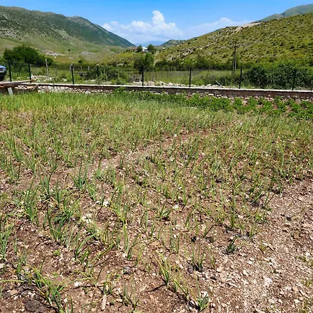 Agroturizem Dr Bizhga 5*