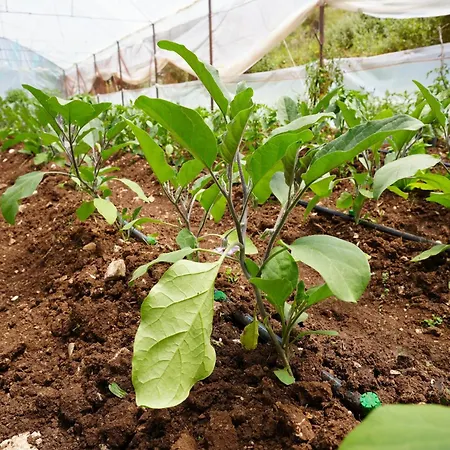 Hotel Agroturizem Dr Bizhga Gusmar