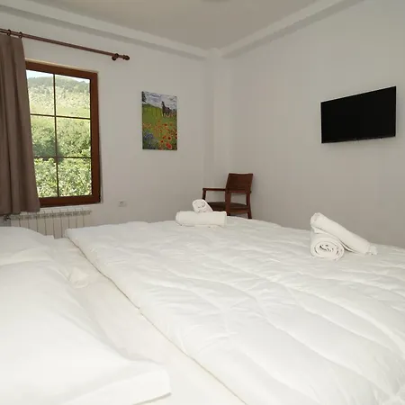 Hotel Agroturizem Dr Bizhga