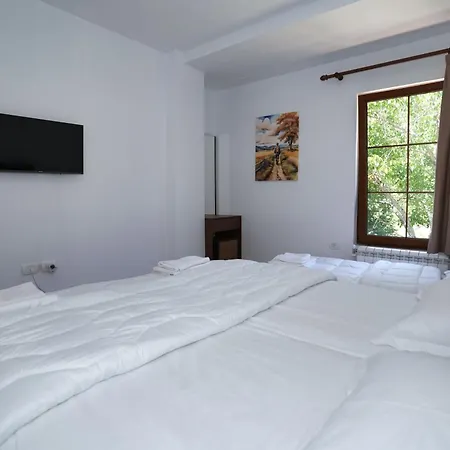 Hotel Agroturizem Dr Bizhga 5*