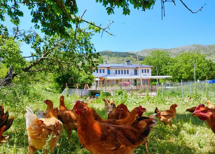 Agroturizem Dr Bizhga 5* Gusmar
