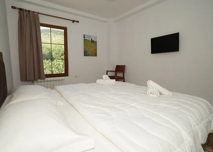 Hotel Agroturizem Dr Bizhga