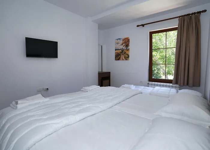 Hotel Agroturizem Dr Bizhga 5*